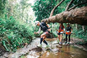 BIB: 
                            <button type="button" onclick="openModal(25375884)" class="btn btn-primary btn-sm float-right btn-popup" data-toggle="modal" data-target=".modal-high-quality">
                        <i class="fas fa-shopping-cart"></i> Add to Cart
                    </button>
                                            <button type="button" onclick="isThisMe(25375884, true)" class="btn btn-success btn-sm float-right btn-popup btn-isme hidden" data-toggle="tooltip" data-placement="bottom" title="นี่คือรูปของคุณใช่ไหม คลิกที่นี่เพื่อเอาเข้าอัลบั้ม">
                        <i class="fas fa-plus"></i> Add to album
                    </button>
                    <button type="button" onclick="isThisMe(25375884, false)" class="btn btn-warning btn-sm float-right btn-popup btn-isnotme hidden">
                        <i class="fas fa-ban"></i> Remove from album
                    </button>